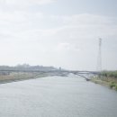 고달리다리 이미지