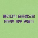 플러터 이미지