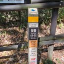 선사시대로 탐방 길(충의1코스) | 멋진 바위 전시장, 영암 월출산 등산(경포대, 구정봉, 천황봉, 천황탐방지원센)