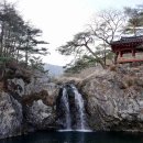 화북면사무소 화장실 티스토리