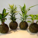 동구평생학습관 2 이미지