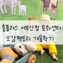 도넛팩토리 | 홈플러스 서부산점 문화센터, 오감팩토리 겨울학기 후기