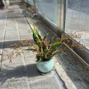 내고5길 이미지