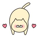 오토챔프 이미지