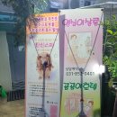 영심이살롱곰곰이호텔 이미지