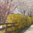 그림농장 이미지