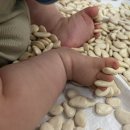 (주)우리노리 | 구미 롯데문화센터 토리토리 오감노리 8개월 아기 수업 기록