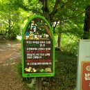 앞산고산골 유아숲체험원 이미지