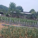 삼아공인중개사사무소 이미지