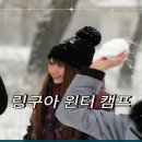 정관링구아어학원