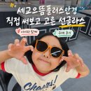 세교 안경 으뜸플러스안경 오산세교점 선글라스 구매 후기