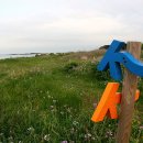 제주 올레길 21코스 이미지