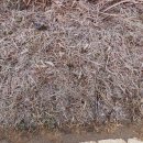 사목1리 이미지