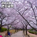 연지공원역 1번출구 | 김해 연지공원 벚꽃 명소 실시간 만개 피크닉 주차장