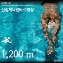 신림체육센터 | 신림체육센터 자유수영 후기, 일요일도 가능한 수영장