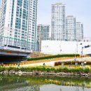 삼한시대 | 부산 벚꽃 명소 동래읍성 온천천 벚꽃 주차