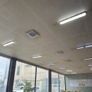 둘둘오리 이미지