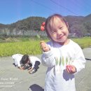 다연농장 이미지