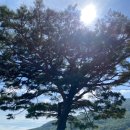 곰내추어탕 이미지