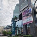 벨로키친 | AC 호텔 바이 메리어트 서울 강남 AC 키친 조식 후기