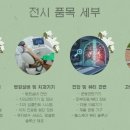 코아메디 이미지