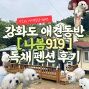 강화도 애견 동반 독채펜션 찾는다면? 나봄919🐶 내 돈 내산 후기! 운동장 보고 바로 예약한 강화도 애견...