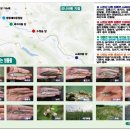소곡마을회관 이미지