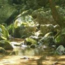 좋고좋다 이미지