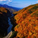 동서여관 이미지