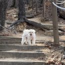 미즈의원 이미지