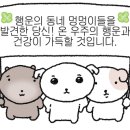 이지비야 이미지