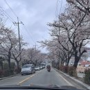 용남민박 네이버블로그