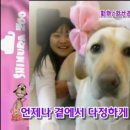 하이디