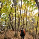 10월27일 소백태극종주(40km) 짧게만 느껴지는 10월 이미지