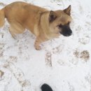 박순호의 아이슬란드 이미지