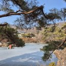 김포다도박물관 Daum카페