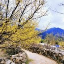 지리산리조트 이미지