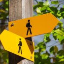 Sun Tree(썬 트리) 이미지