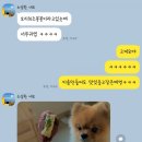 까까멍냐옹 수제간식 이미지