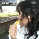 안성맞춤캠핑장 이미지