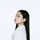 송헤어뉴스