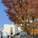 도사곡길 | 까미노 데 플로레스타 | 강원도 홍천 감성숙소 풀빌라 내돈내산 추천 후기