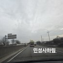 팔도씨드