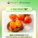 애드유통