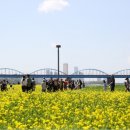 반포한강공원 이미지