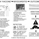 mod RNA "vaccine"=＞ myocarditis =＞ result 이미지