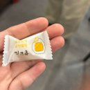 (주)의정부현대서비스 | 의정부닭갈비 맛집 추천 다닭익선 후기