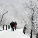 김영석행정사무소 이미지