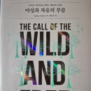 흥대개발 | [독서후기]아이의 경이감을 되찾는 홈&언스쿨링 '야성과 자유의 부름 '