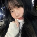 이태원동물병원 | 진양호동물(병)원